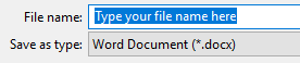 Type a file name for your Word document