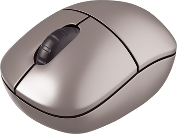 Computer mouse